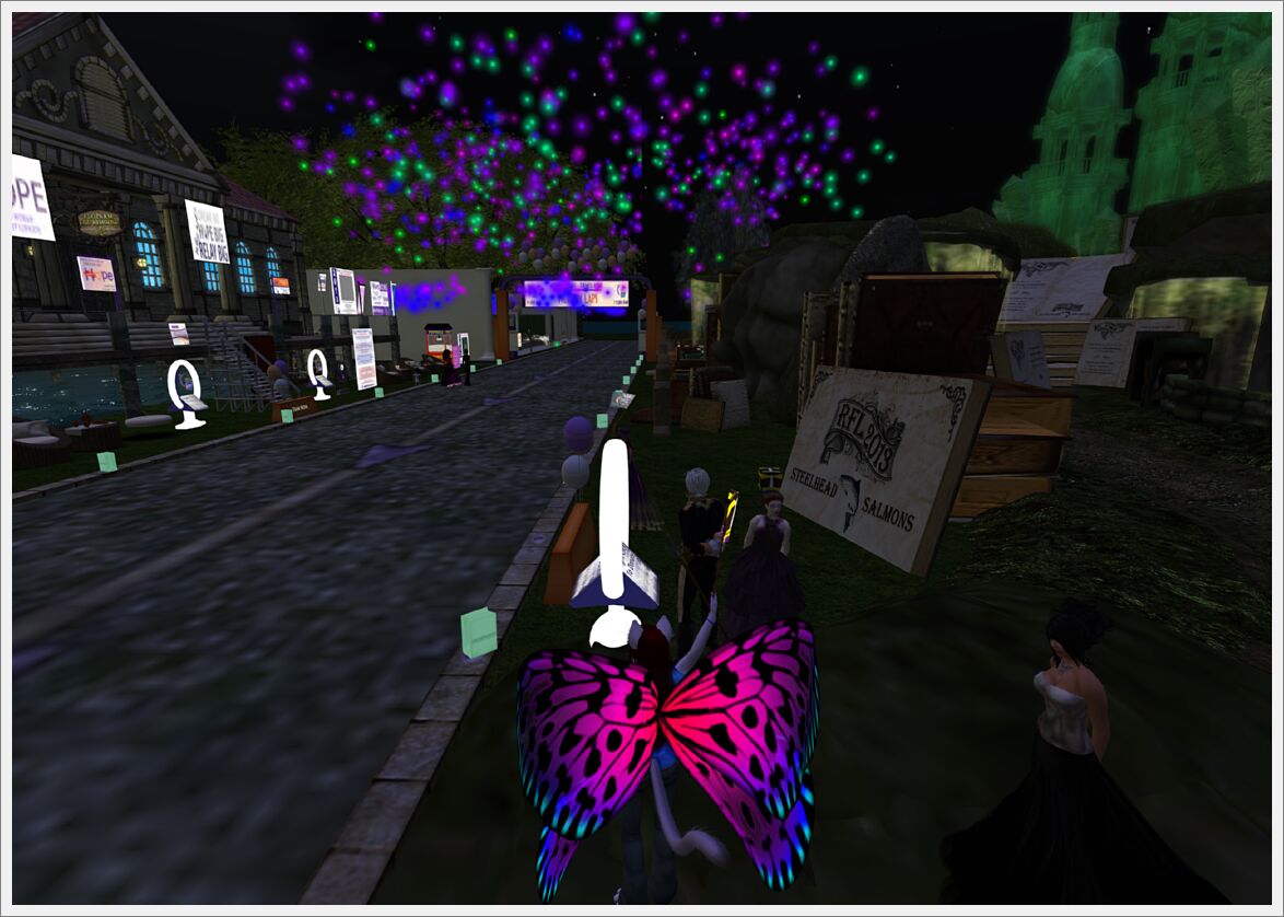 Relay For Life 2013  (60)